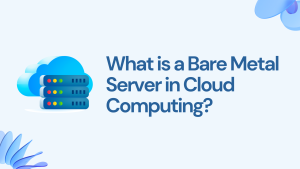 What is a Bare Metal Server in Cloud Computing?